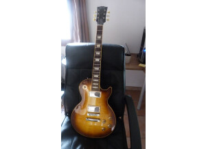 Gibson Les Paul Standard 2007 (76530)