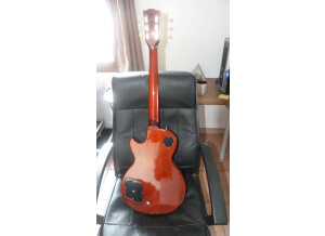 Gibson Les Paul Standard 2007 (97891)