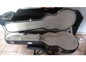 Gibson Les Paul Standard 2007 (22820)