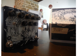 Walrus Audio Descent (54215)