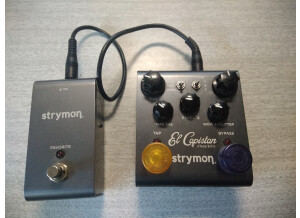 Strymon El Capistan (205)