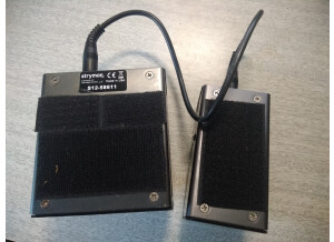 Strymon El Capistan (91594)