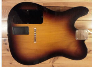Fender Deluxe Acoustasonic Tele (6227)