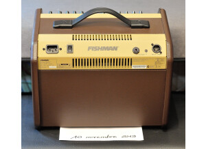 Fishman Loudbox Mini (49665)