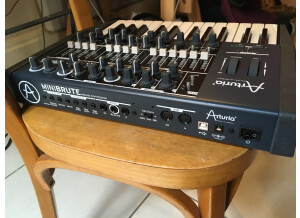 Arturia MiniBrute (6581)