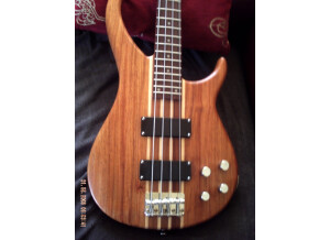 Peavey Grind Bass 4 (74616)