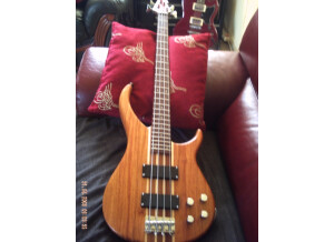 Peavey Grind Bass 4 (81053)