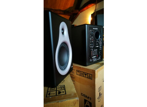 M-Audio DSM1 (16676)