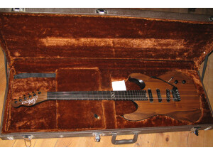 Chapman Guitars ML1 Pro NT Walnut (15691)