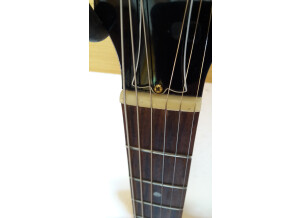 Gibson ES-135 (1044)