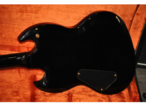 Ibanez RGR08LTD (46819)