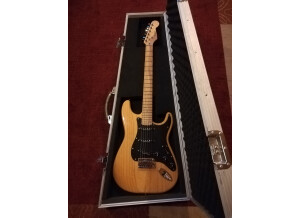 Fender Special Edition Lite Ash Stratocaster (8880)