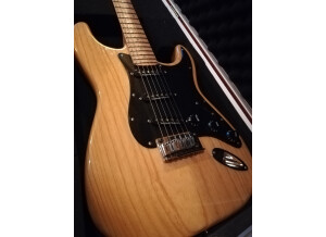 Fender Special Edition Lite Ash Stratocaster (52443)