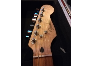 Fender Special Edition Lite Ash Stratocaster (70636)