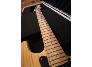 Fender Special Edition Lite Ash Stratocaster (55869)