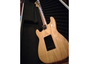 Fender Special Edition Lite Ash Stratocaster (81982)