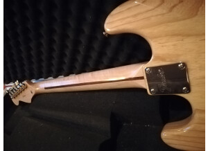 Fender Special Edition Lite Ash Stratocaster (1090)