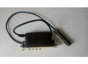 L.R. Baggs M1 (54728)