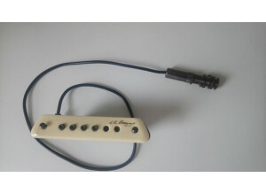 L.R. Baggs M1 (75975)