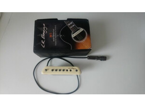 L.R. Baggs M1 (34290)