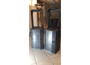 Bose F1 Subwoofer (81384)