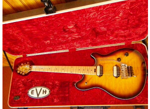 EVH Wolfgang Special