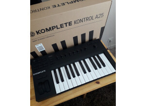 Native Instruments Komplete Kontrol A25 (40886)