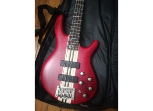 Cort A4-Custom SP (70529)