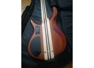 Cort A4-Custom SP (20967)