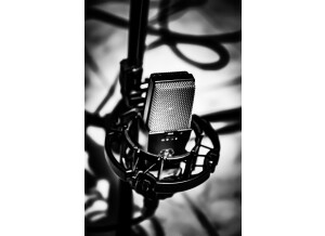 AKG C 414 B-ULS (8405)