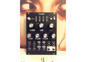 Mutable Instruments Clouds (91674)