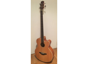 Takamine EG512C (37285)