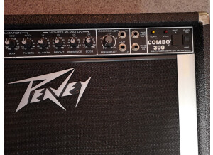Peavey Combo 300 (62404)