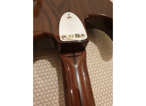 Fender ST71 (75202)