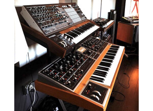 Moog Music Moog One 8 (17846)