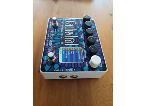 reverb-ehx-electro-2799617