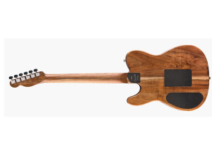acoustasonictele
