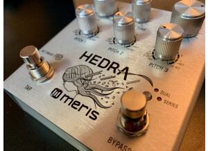 Meris Hedra Cool - 5