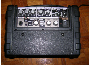 Roland Micro Cube Bass RX