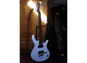 Parker Guitars PDF30 (75441)