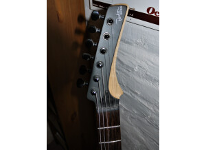 Parker Guitars PDF30 (88317)