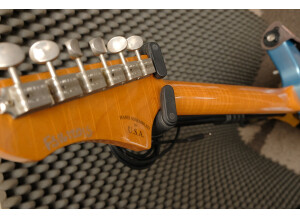 Fano Guitars Standard JM6 (66646)