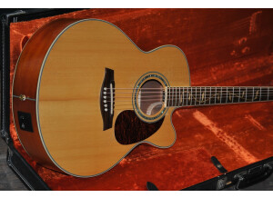 4258-2-ibanez-ael40se-electro