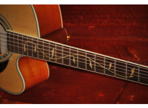 4258-4-ibanez-ael40se-electro