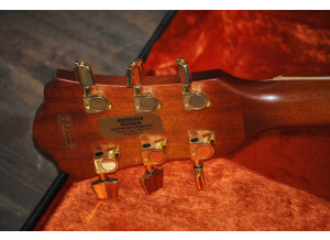 4258-7-ibanez-ael40se-electro
