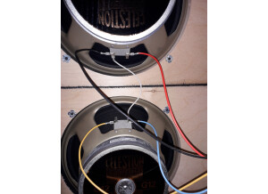 ENGL E212V Pro Slanted 2x12 Cabinet (8765)