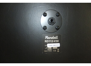Randall RD112-D (86822)