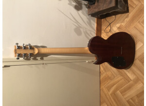 Chapman Guitars ML-2 (62452)