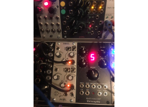 Erica Synths Black Hole DSP (4982)