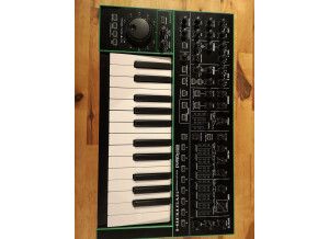 Roland SYSTEM-1 (58961)